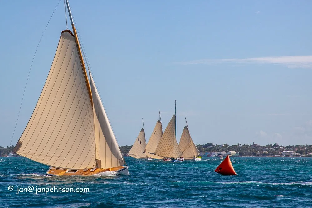 December 2018, Best of the Best Regatta.