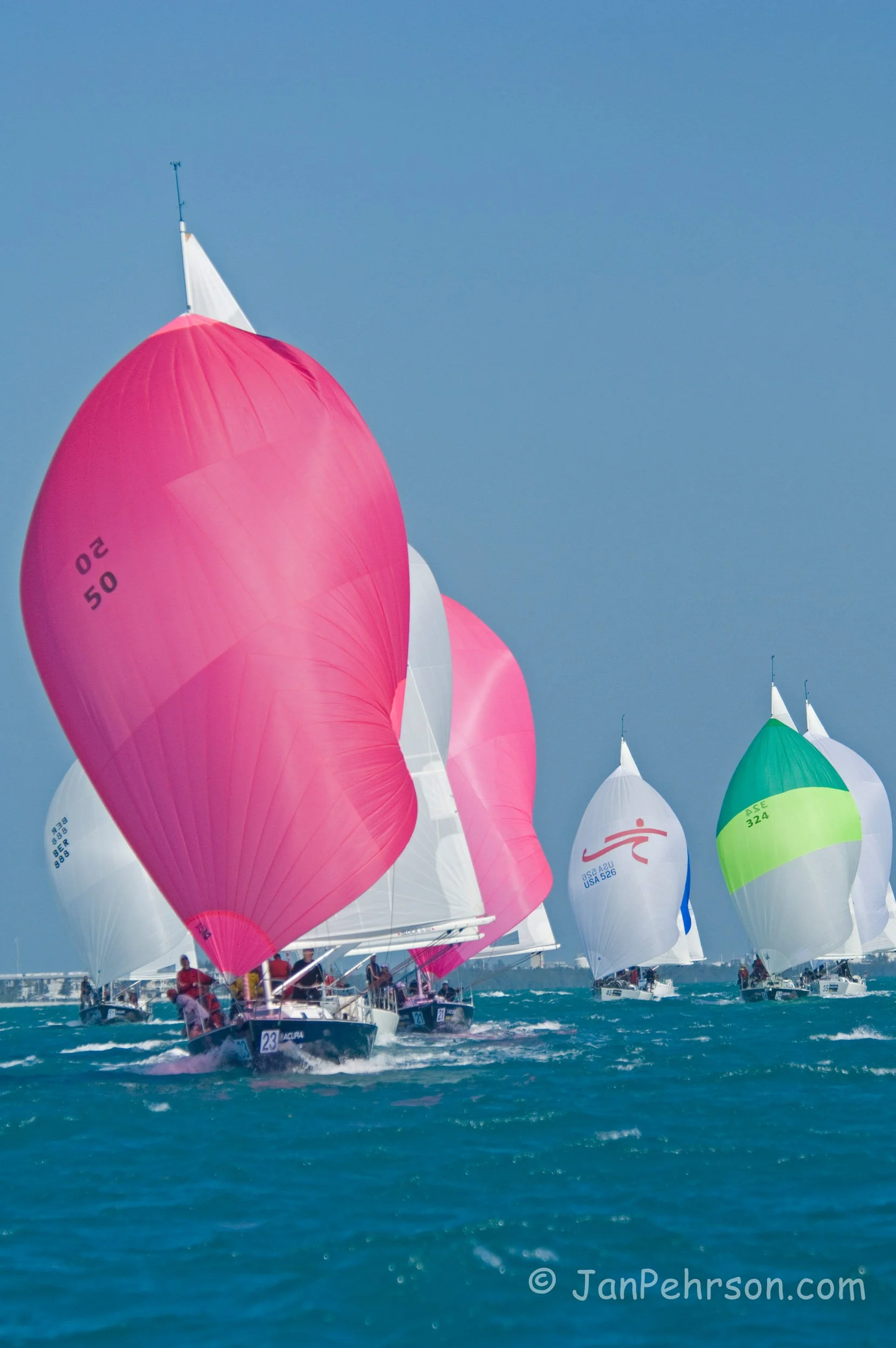 Acura Key West Race Week 2008, Florida, Day 5,Division 3,J/105, fight for the class lead. Eclipse(Pink Sail 50),Masquerade(Pink Sail 17),Kincsem, (White Sail 324) (02571)
