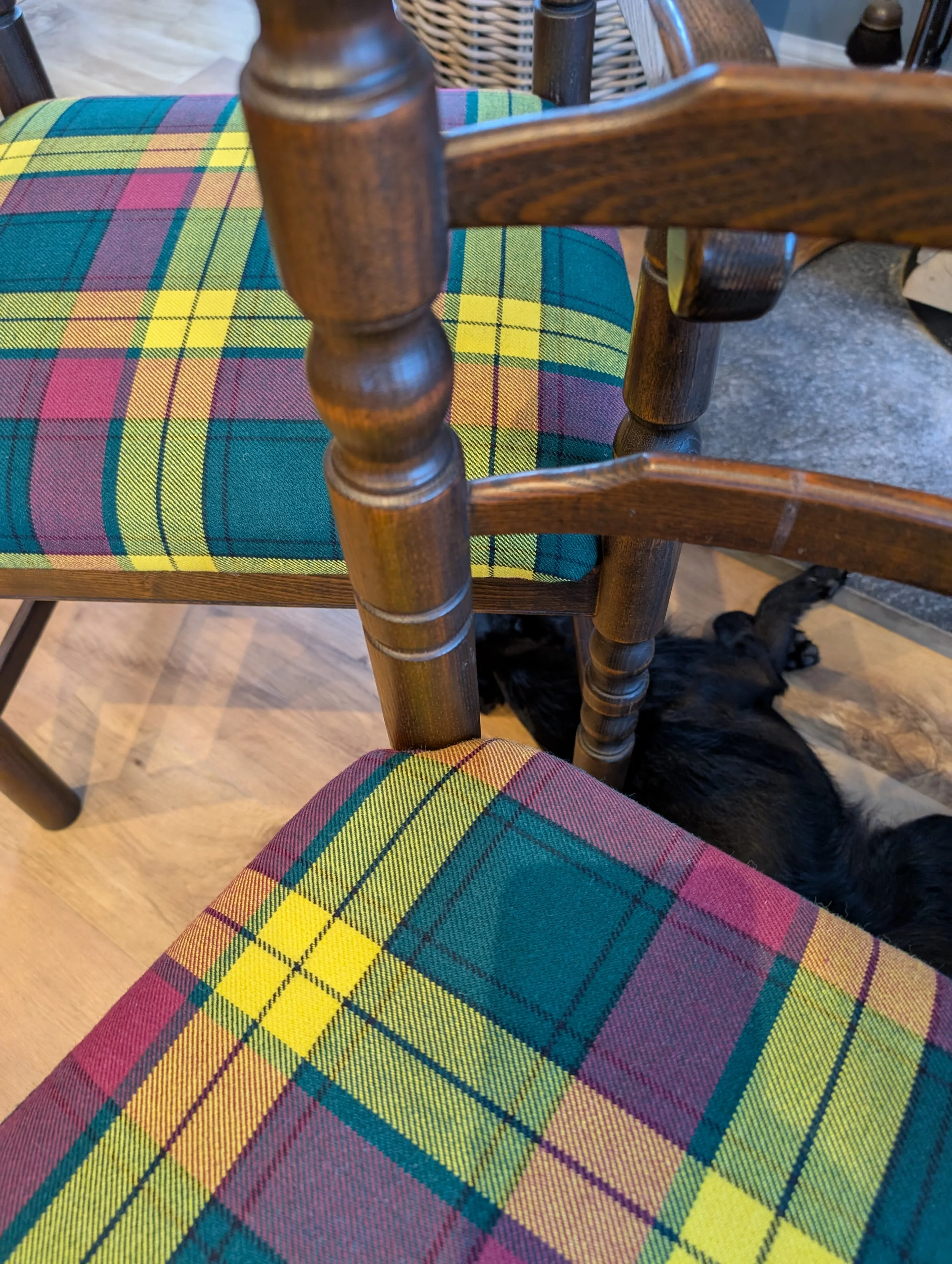 Modern Dining Chairs
