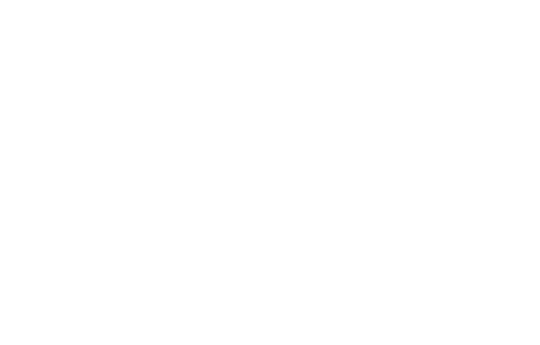 Logo for The Elephant Pizza, a neighborhood pizza bar established in 2026, offering sourdough, craft beer, and cocktails.