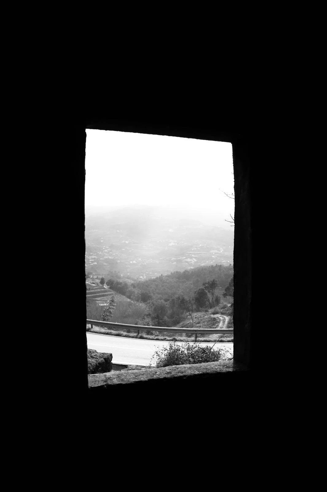 WhatsApp Image 2026-02-12 at 15.41.56.jpeg