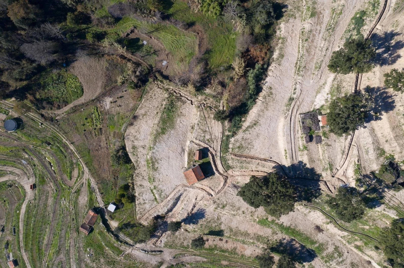 WhatsApp Image 2026-02-12 at 16.22.50.jpeg