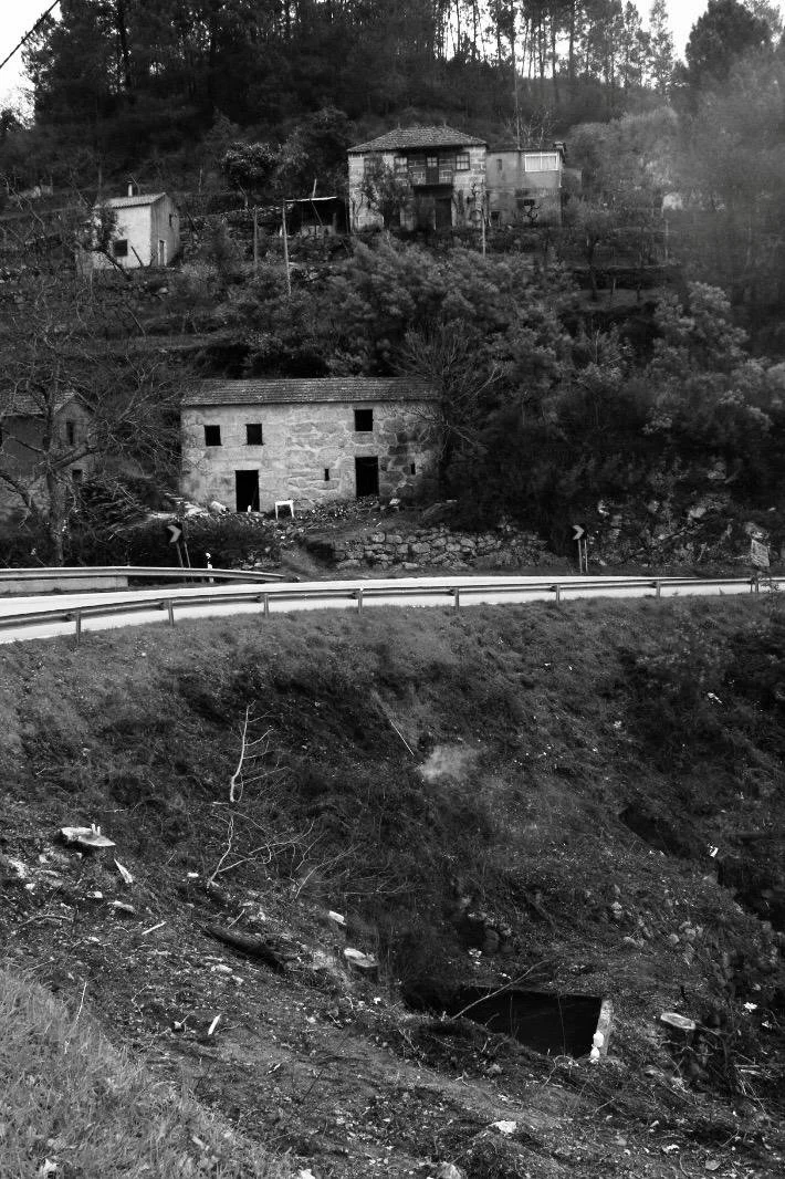 WhatsApp Image 2026-02-12 at 15.43.14.jpeg