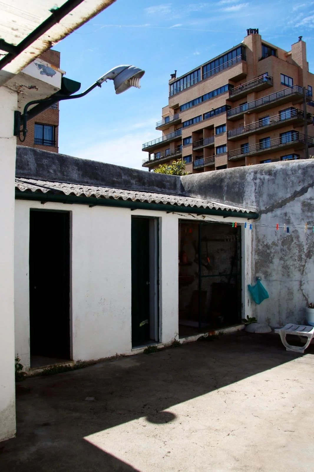 WhatsApp Image 2026-02-13 at 11.43.28 (1).jpeg