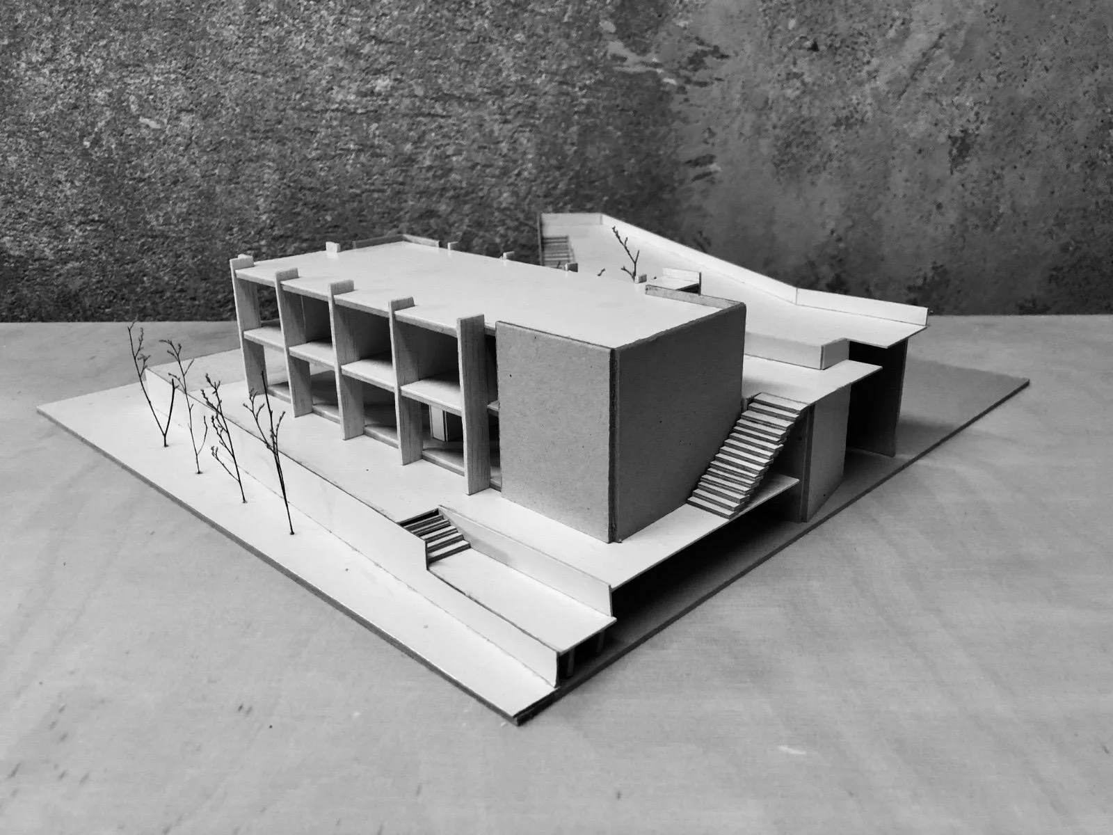 WhatsApp Image 2026-02-12 at 16.22.50 (4).jpeg