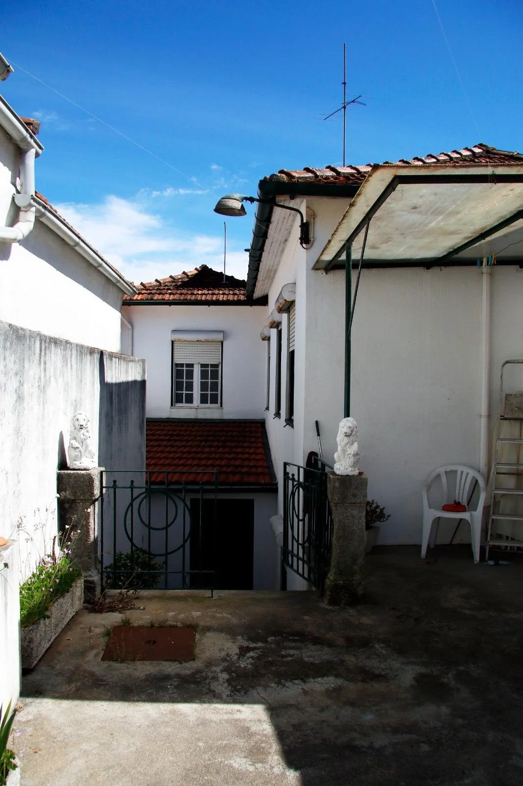 WhatsApp Image 2026-02-13 at 11.43.27 (2).jpeg