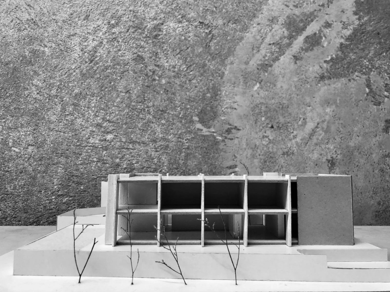 WhatsApp Image 2026-02-12 at 16.22.50 (6).jpeg