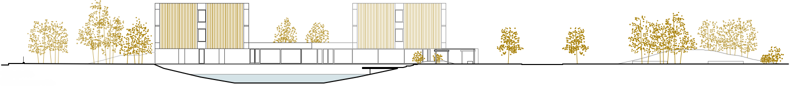 Captura de ecrã 2026-02-13 102417.png