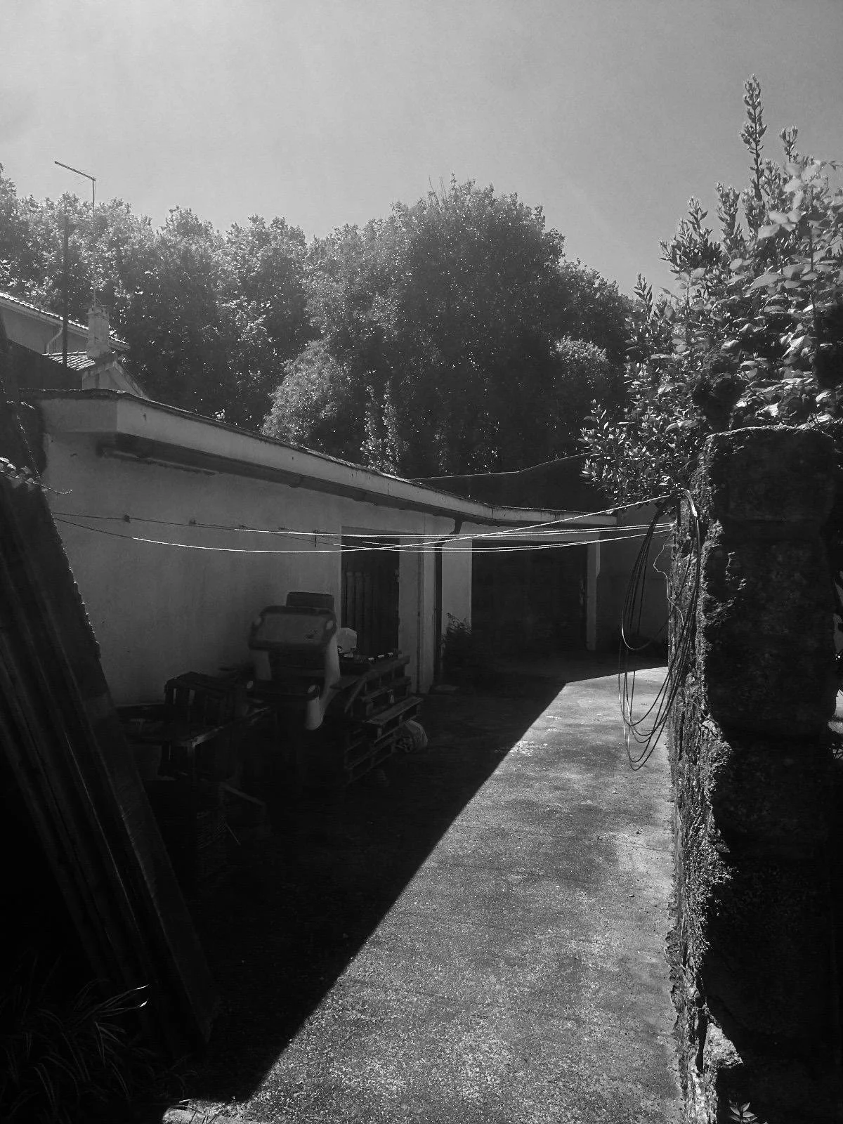 WhatsApp Image 2026-02-13 at 17.04.42 (1).jpeg