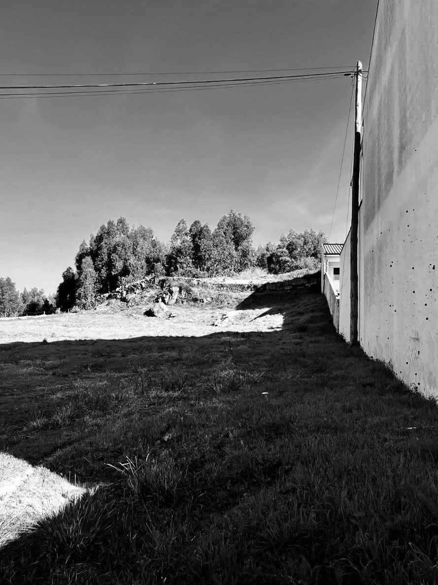 WhatsApp Image 2026-02-16 at 09.47.01.jpeg