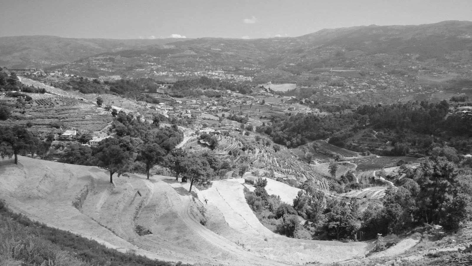 WhatsApp Image 2026-02-12 at 16.22.50 (2).jpeg