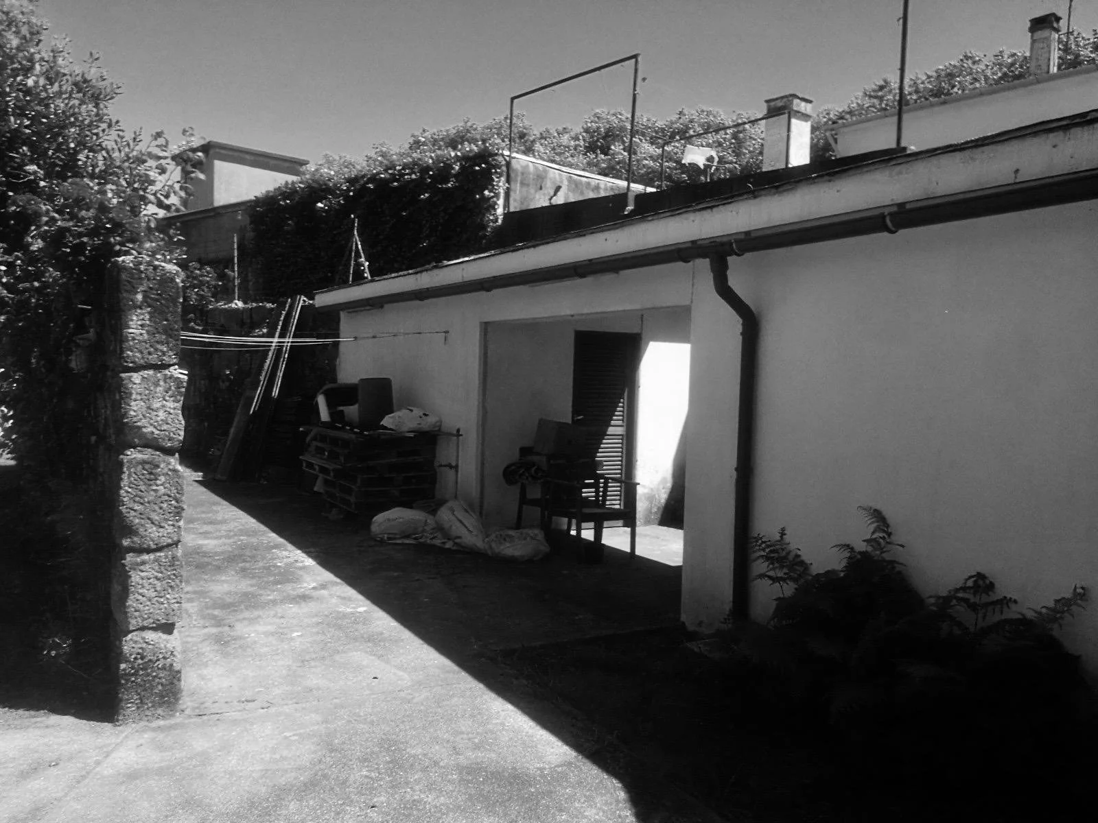 WhatsApp Image 2026-02-13 at 17.04.42.jpeg