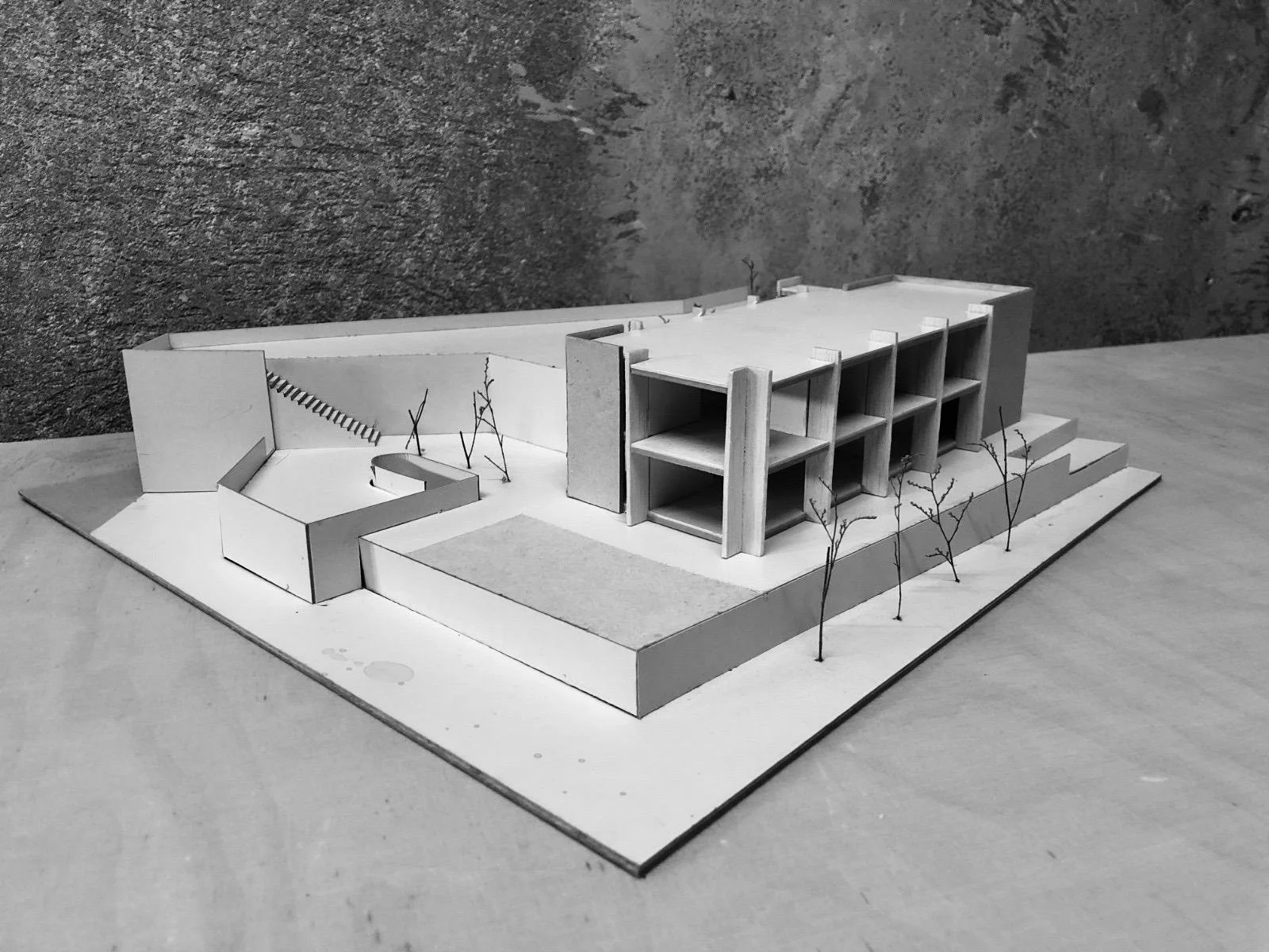 WhatsApp Image 2026-02-12 at 16.22.50 (5).jpeg