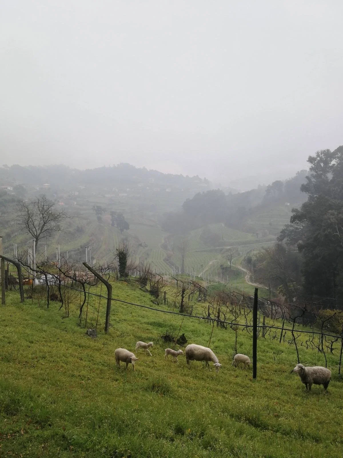 WhatsApp Image 2026-02-12 at 16.22.50 (3).jpeg