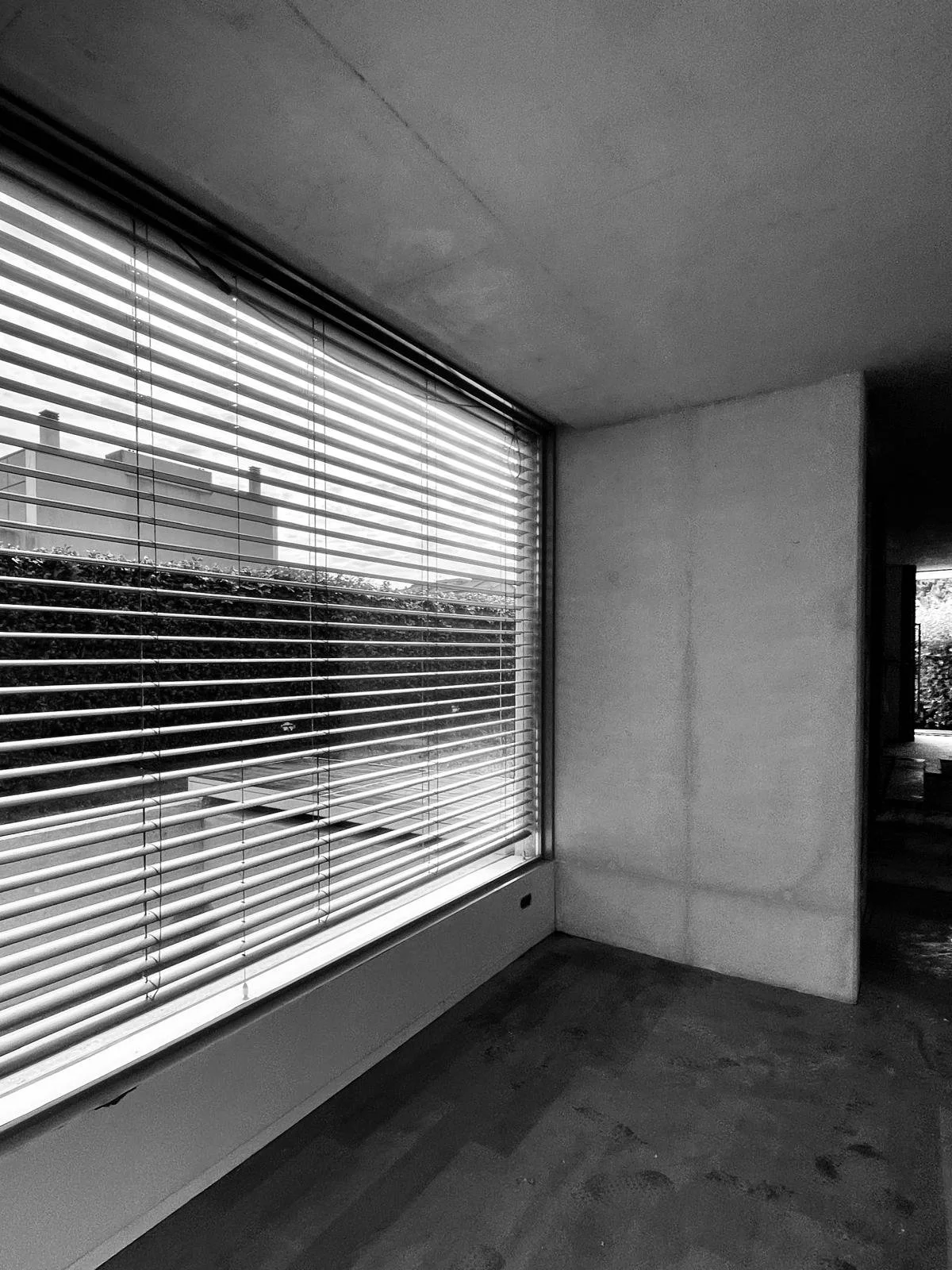 WhatsApp Image 2026-02-16 at 15.03.17.jpeg