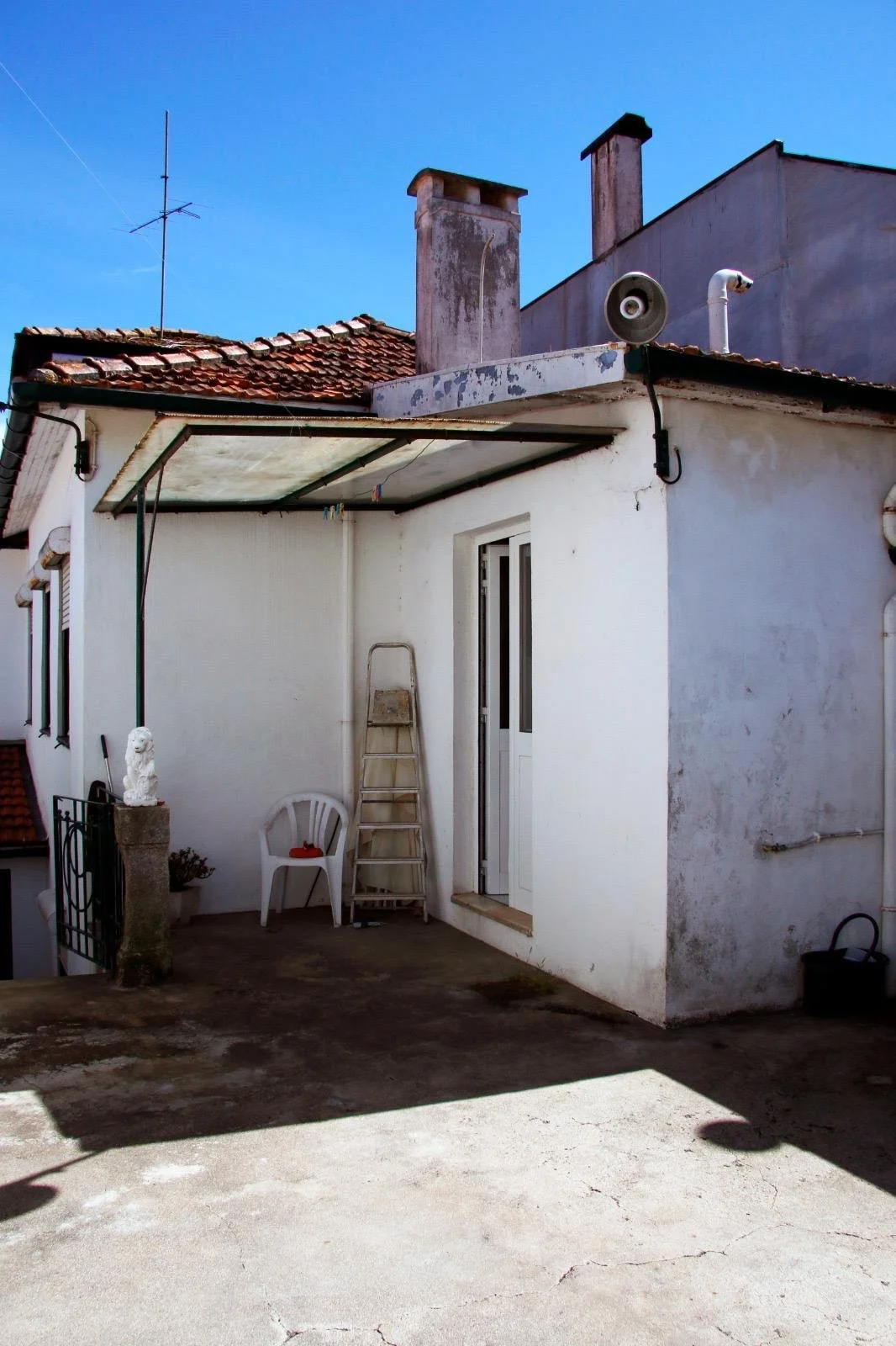 WhatsApp Image 2026-02-13 at 11.43.28.jpeg