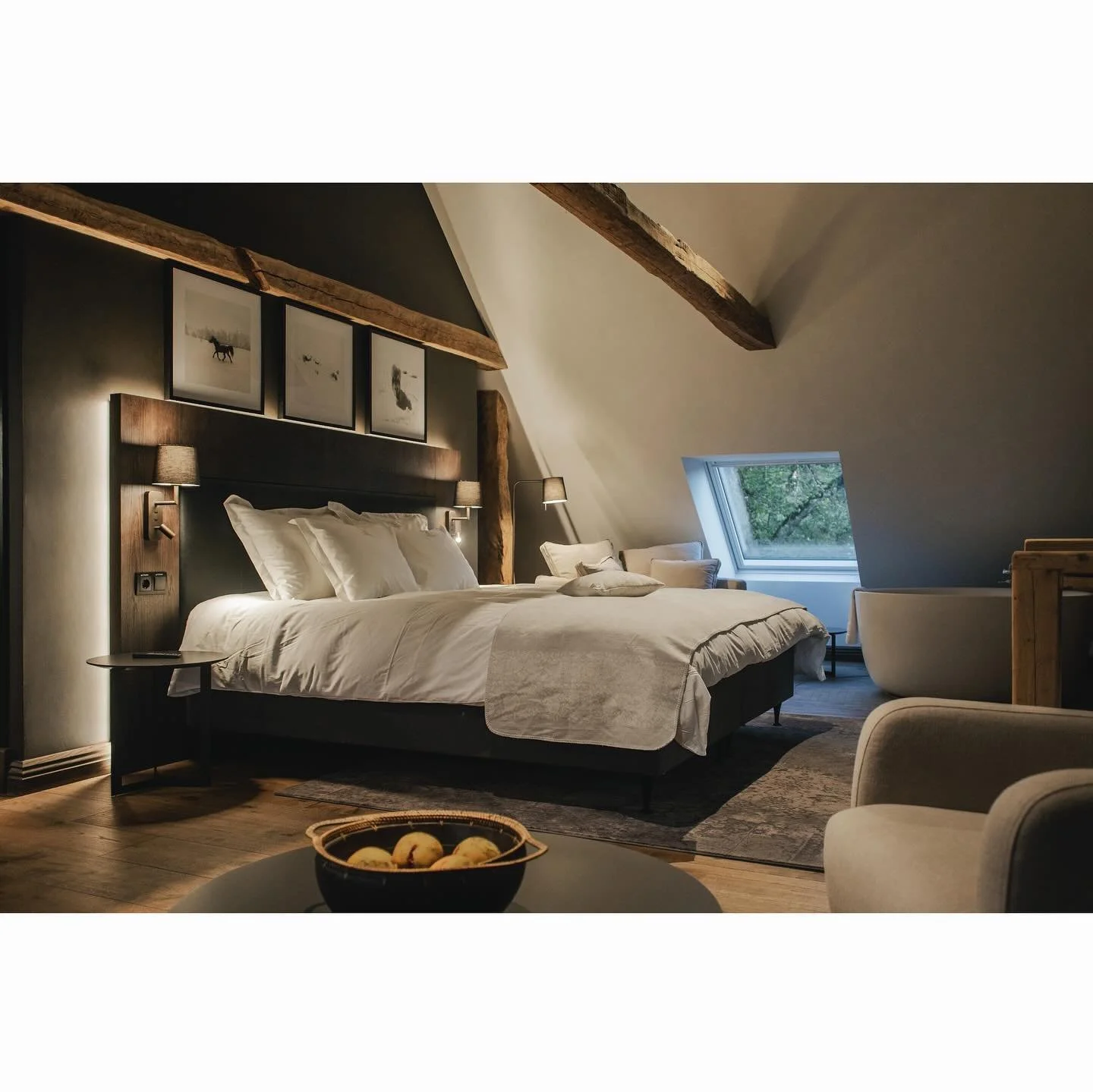 Padise M&otilde;isa Butiikspaa
- Valminud 2023
- Sisearhitektuur &amp; disain - VAIKLA DISAIN (Katrin Vaikla, Argo Vaikla, Kristoffer Vaikla)
- Arhitektuur - VAIKLA DISAIN &amp; Kaja K&otilde;iv
&bull;
Fotod - @kristoffervaiklaphoto 
&bull;
Padise Ma