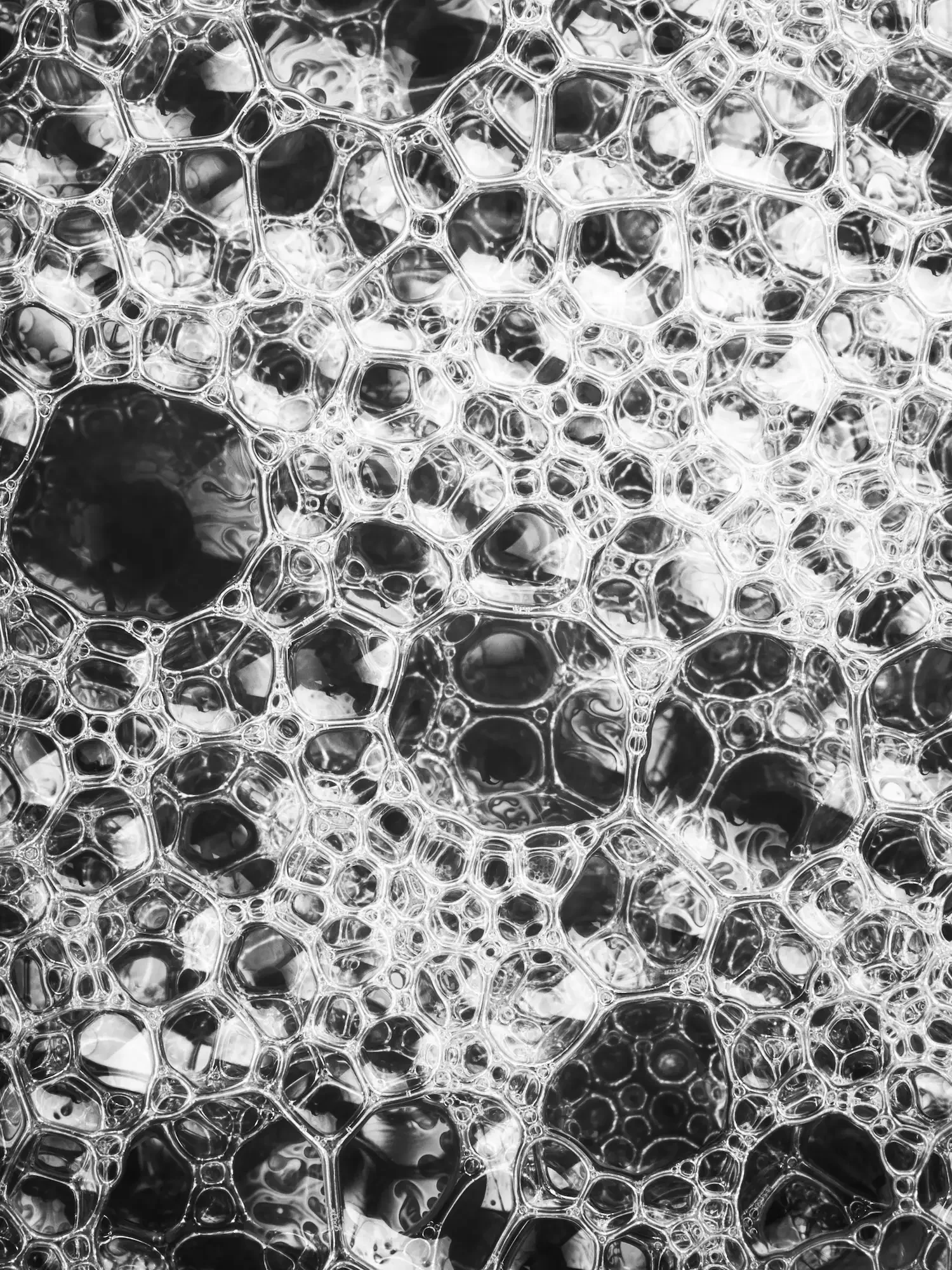 Abstract cell-like structure, representing the human dimension of pharmaceutical leadership coaching