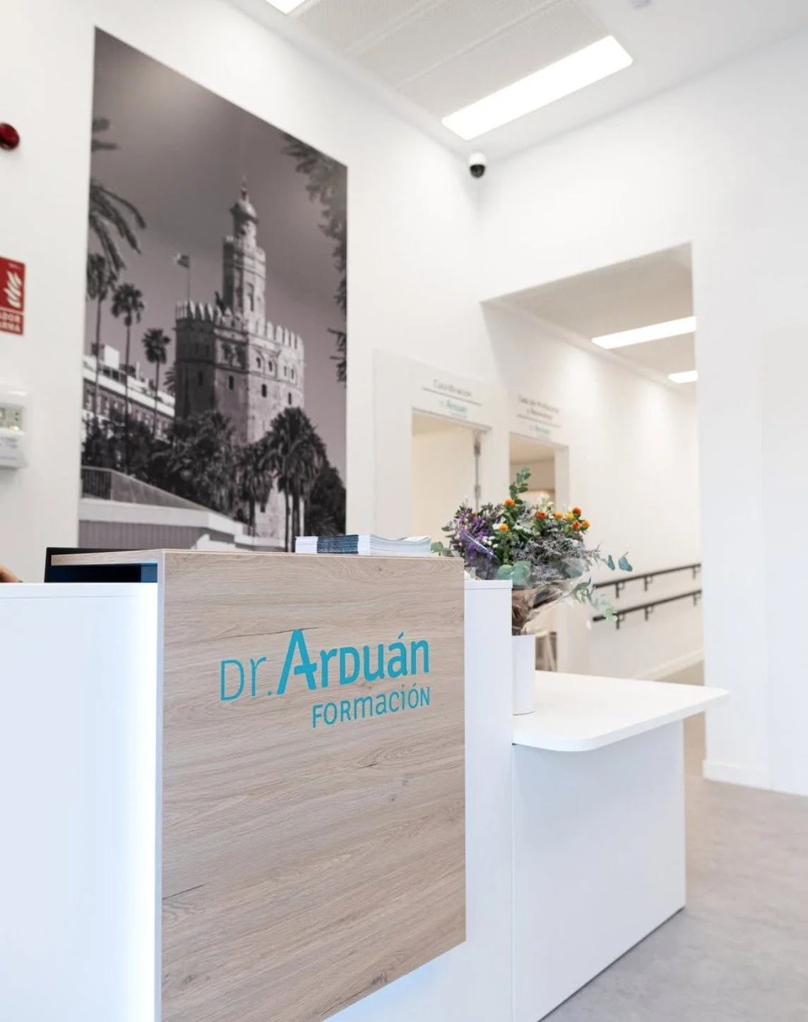 Captura de pantalla 2026-02-24 203239.jpg