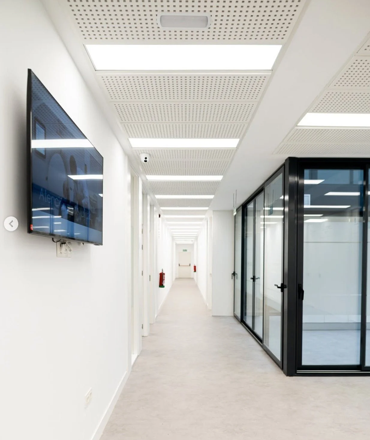 Captura de pantalla 2026-02-24 203207.jpg