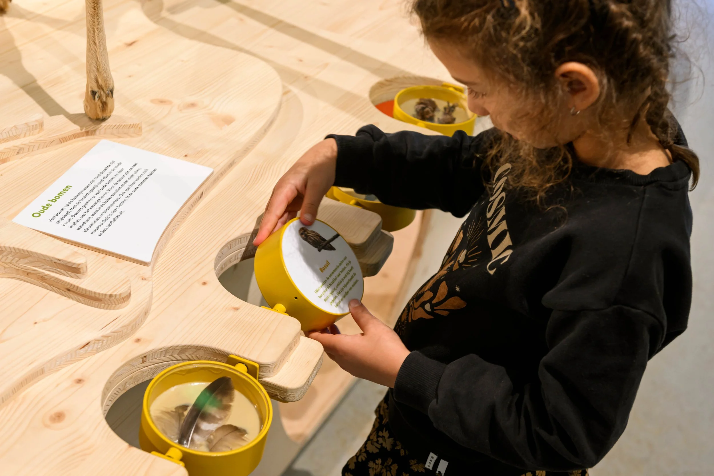 Gooi en Vechtstreek_14.jpg