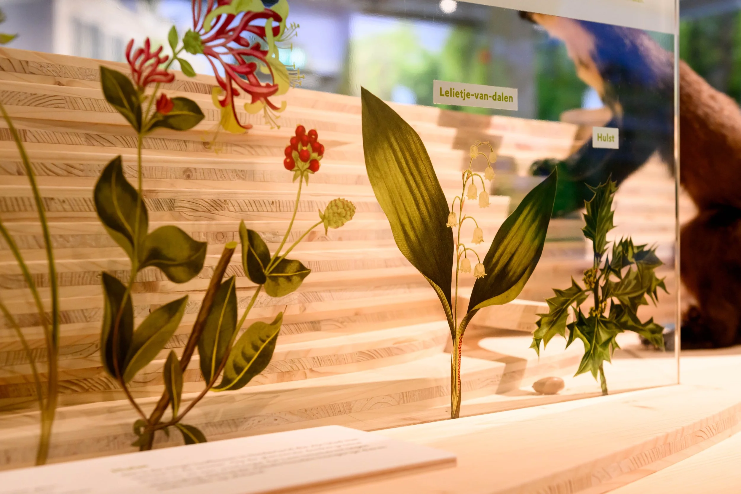 Gooi en Vechtstreek_40.jpg