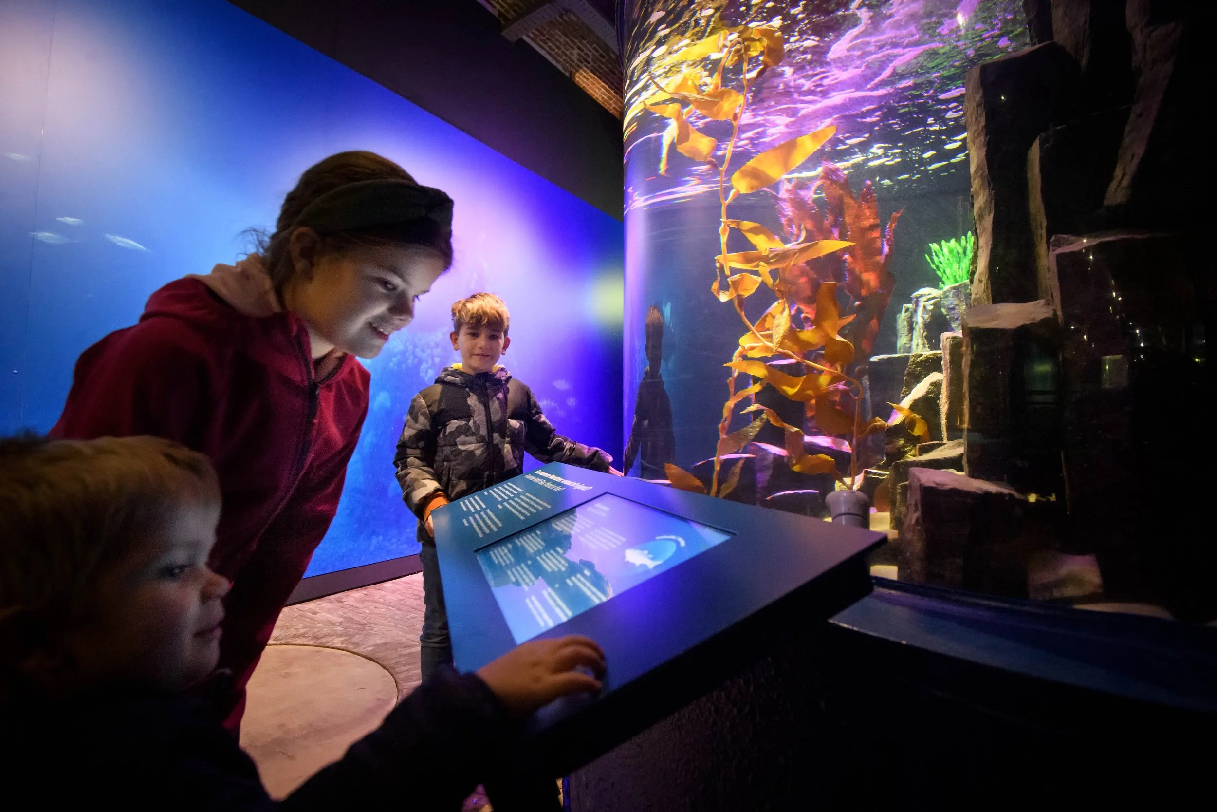 Fort Kijkduin Aqua_41.jpg