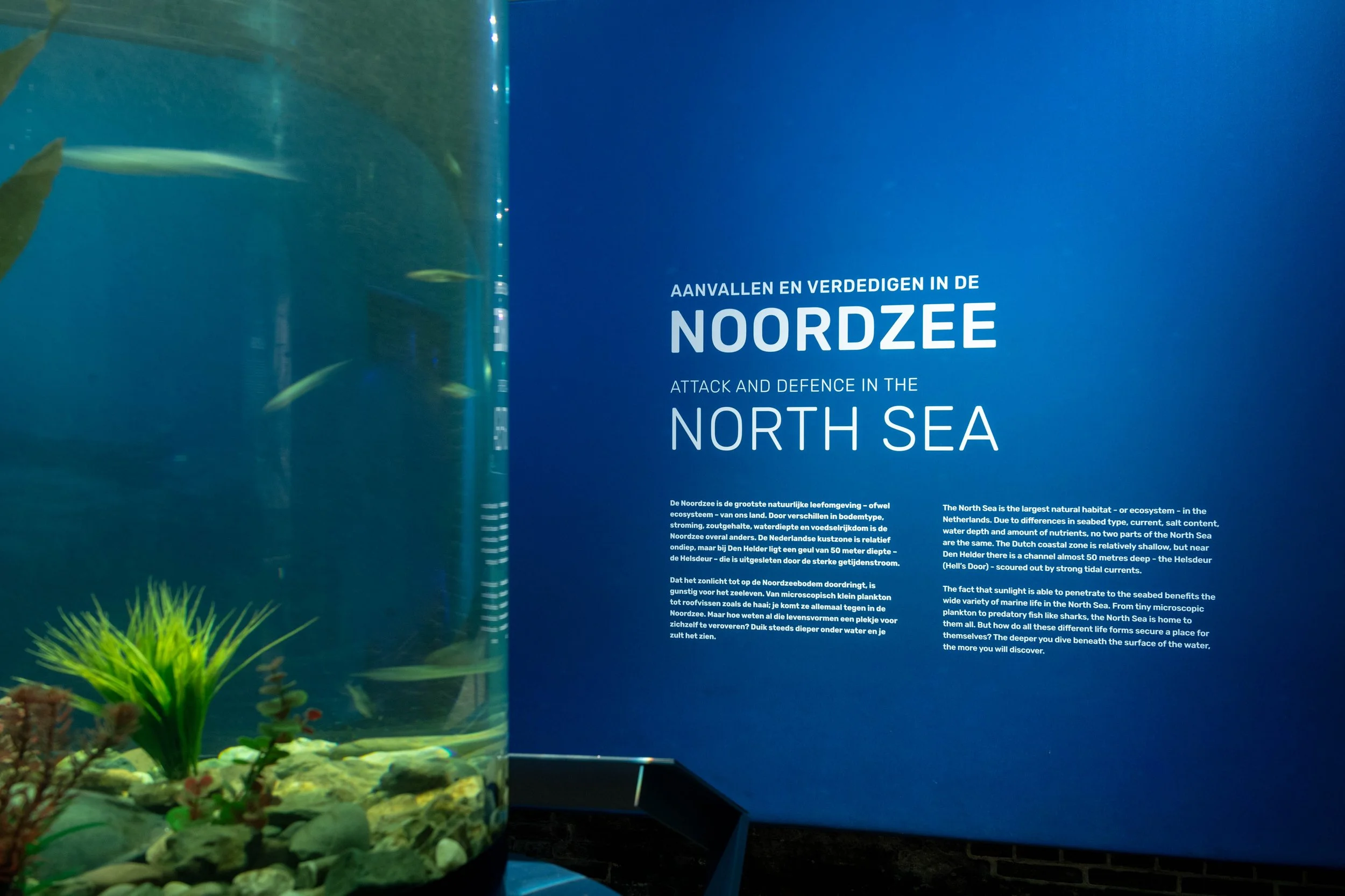 Fort Kijkduin Aqua_19.jpg