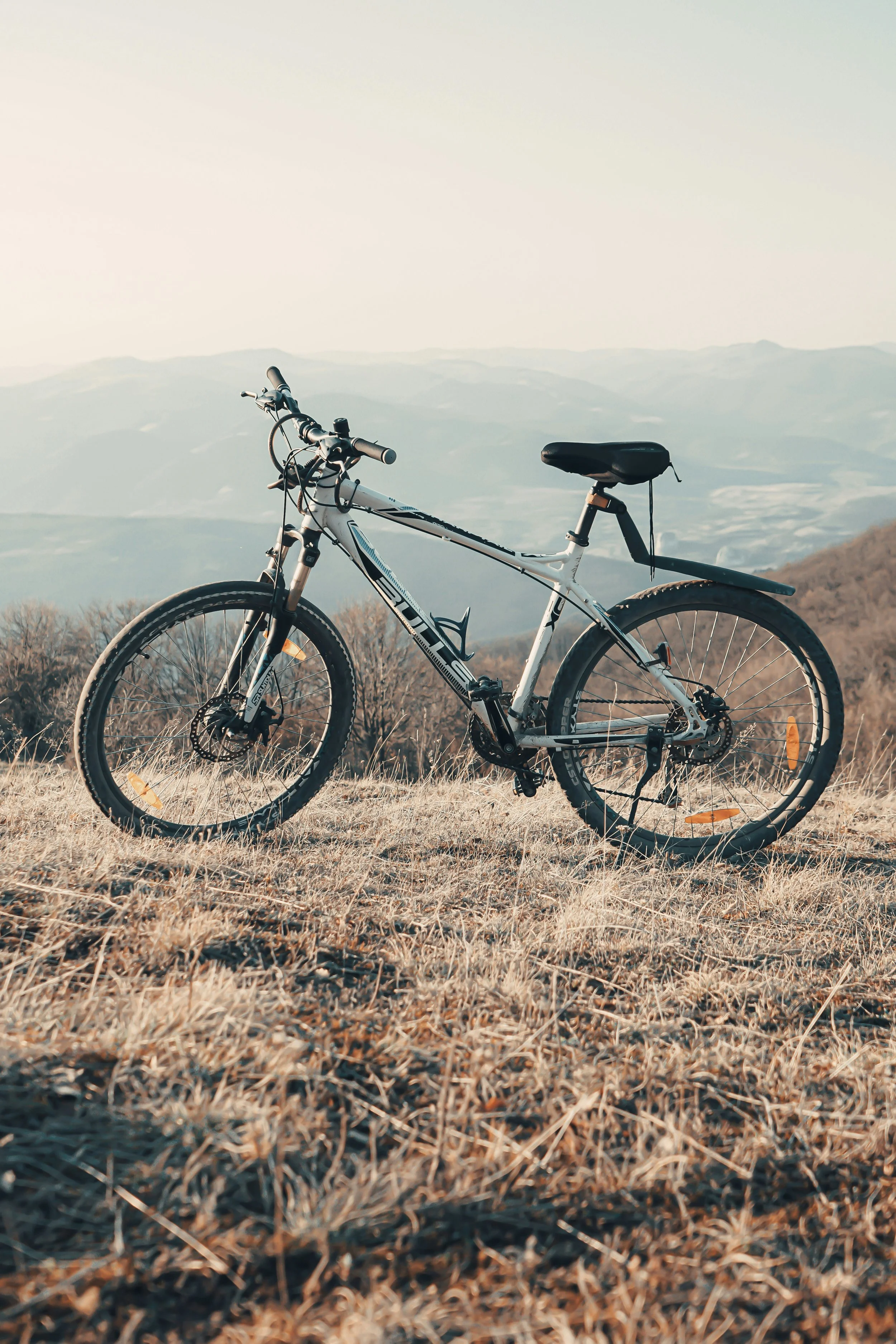 Should you bring your bike to Aberfoyle, or hire one?