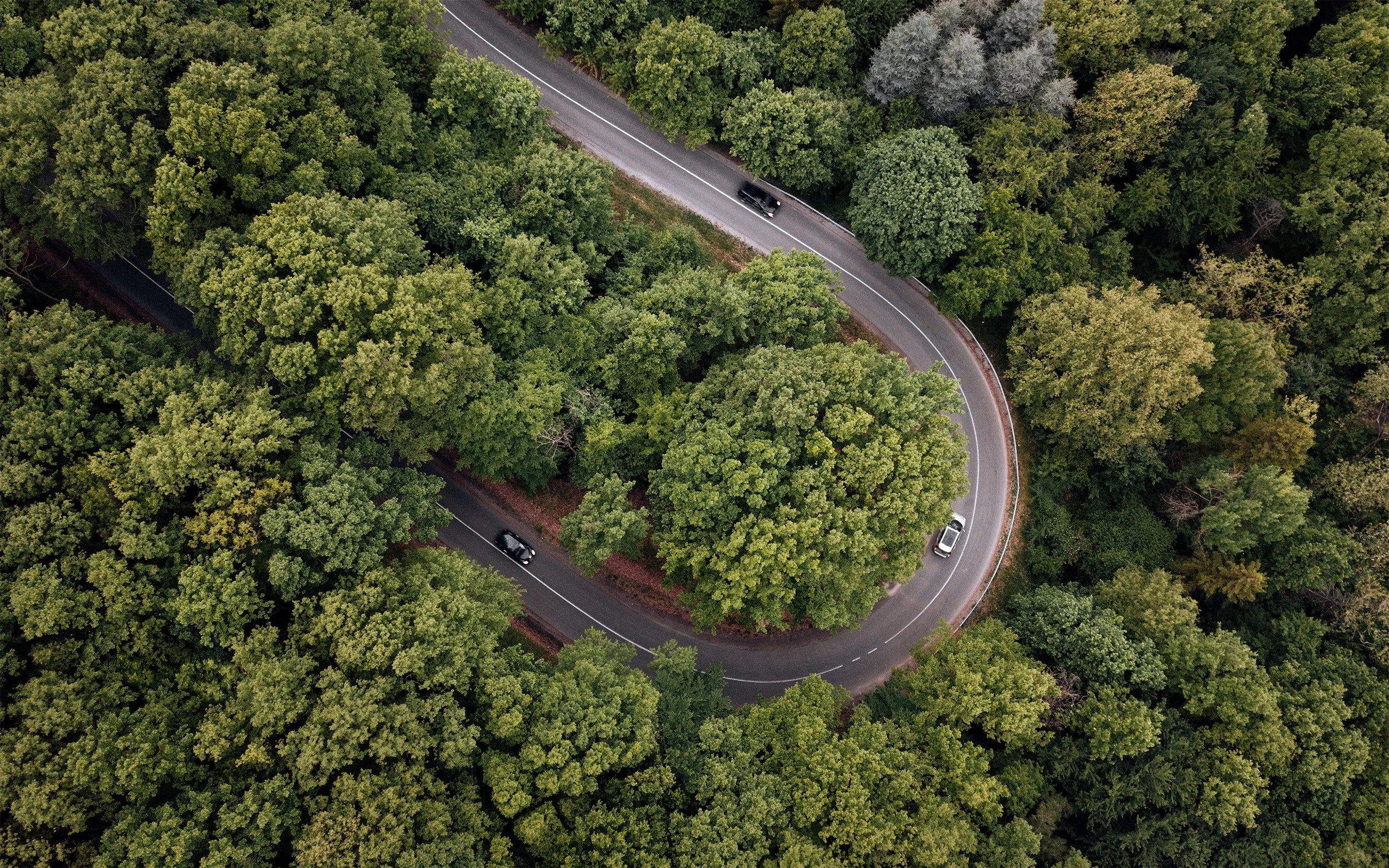An aerial view of a winding road through a dense green forest with a vehicle traveling on the road.