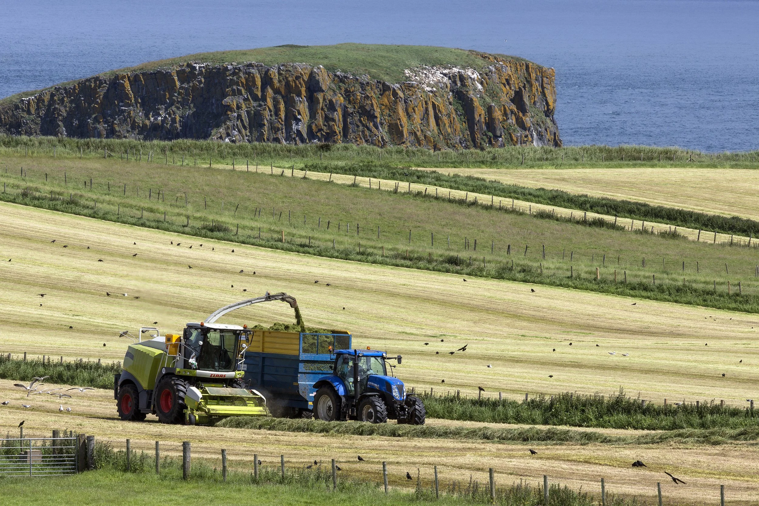 Farmland with a blue tractor and harvesting machinery, and a large rock formation with cliffs in the background by the sea.