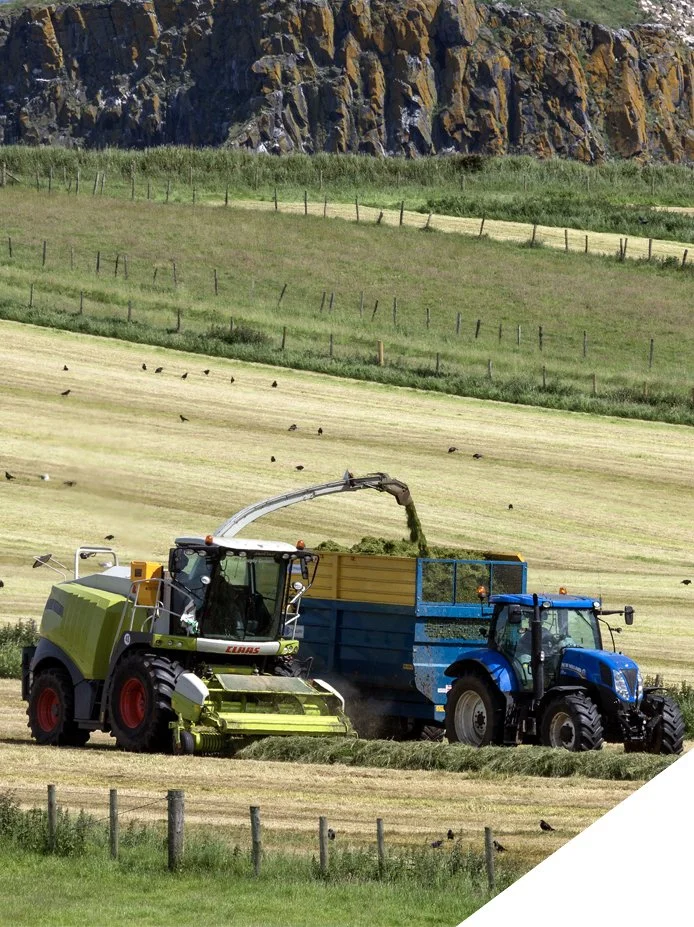 A tractor and a forage harvester working in a yellow field, with a rocky hillside and green landscape in the background.