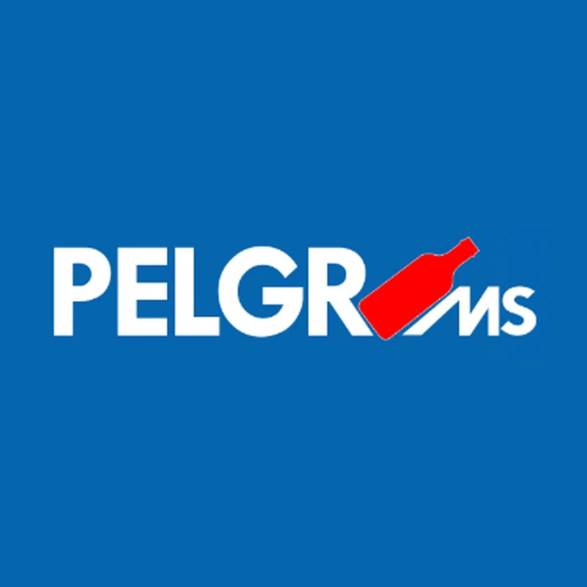 pelgrims_vierkant.jpg