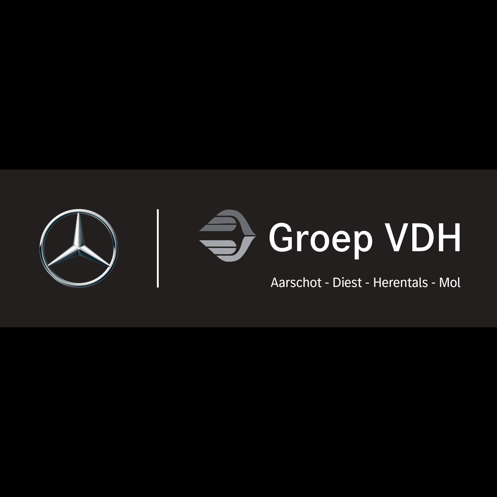 Groep_VDH_vierkant_zwart (3).png