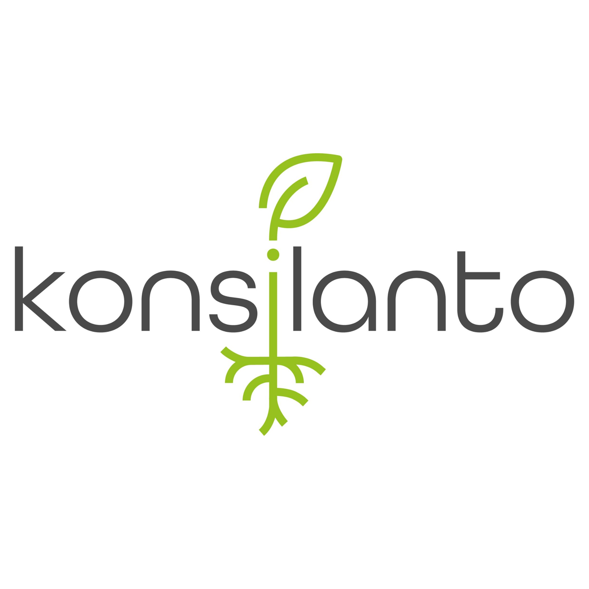 konsilanto_vierkant.png