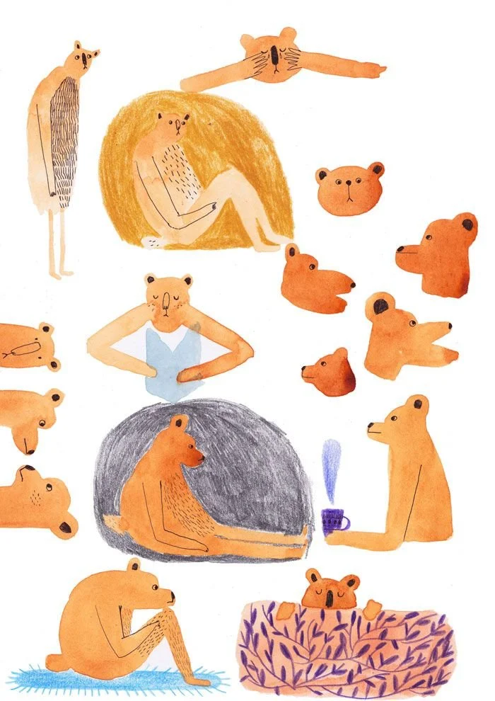 Recherches d'ours.jpeg
