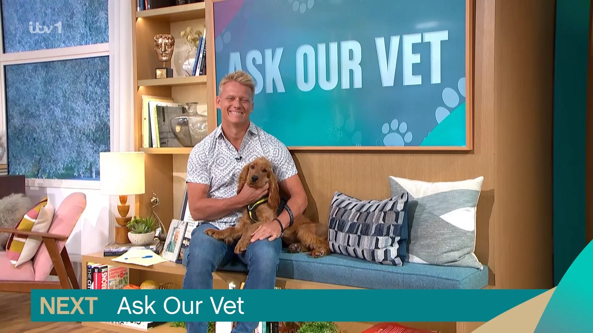 TM_ASK VET PLASMA AND MENU STRAP.jpg