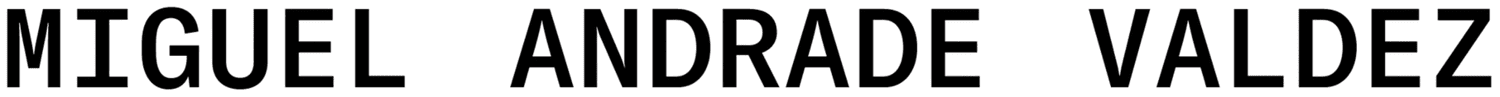 Miguel Andrade Valdez