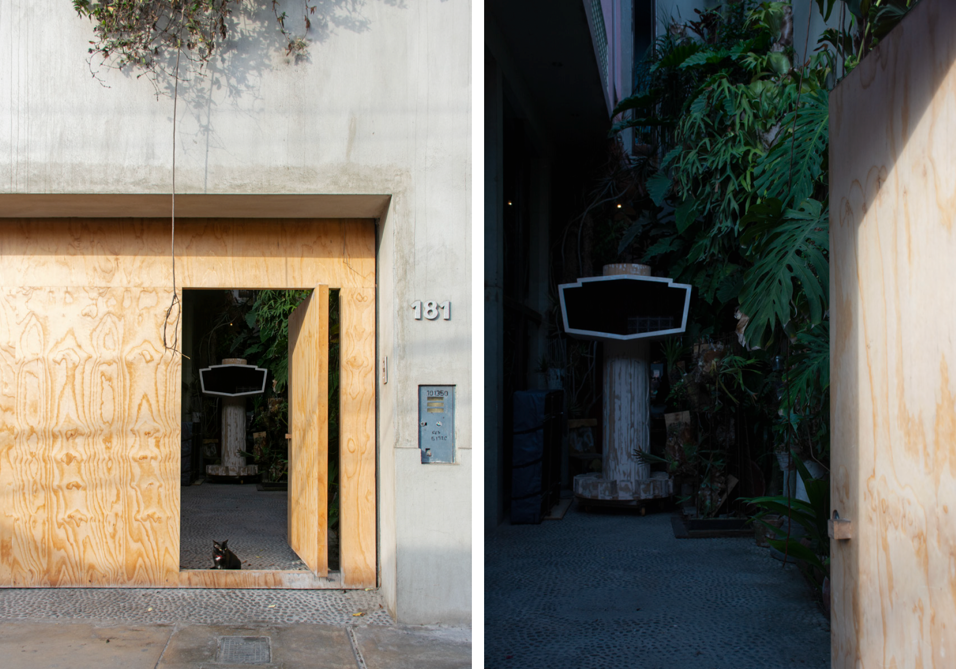 Side-by-side images of an entrance to a building. The left image shows the entrance door open, revealing a black cat sitting inside, with a concrete wall and house number 181 on the right. The right image shows the same entrance at night, with a dark interior and lush green plants inside, and a black sign hanging above the door.
