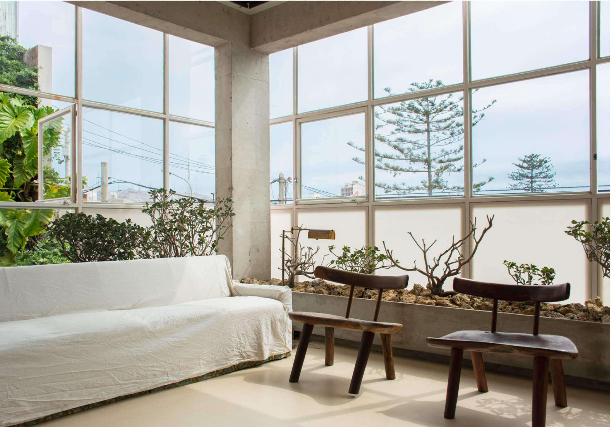Bright indoor space with large windows, a white couch, and wooden chairs, featuring potted plants and a view of trees and sky outside.