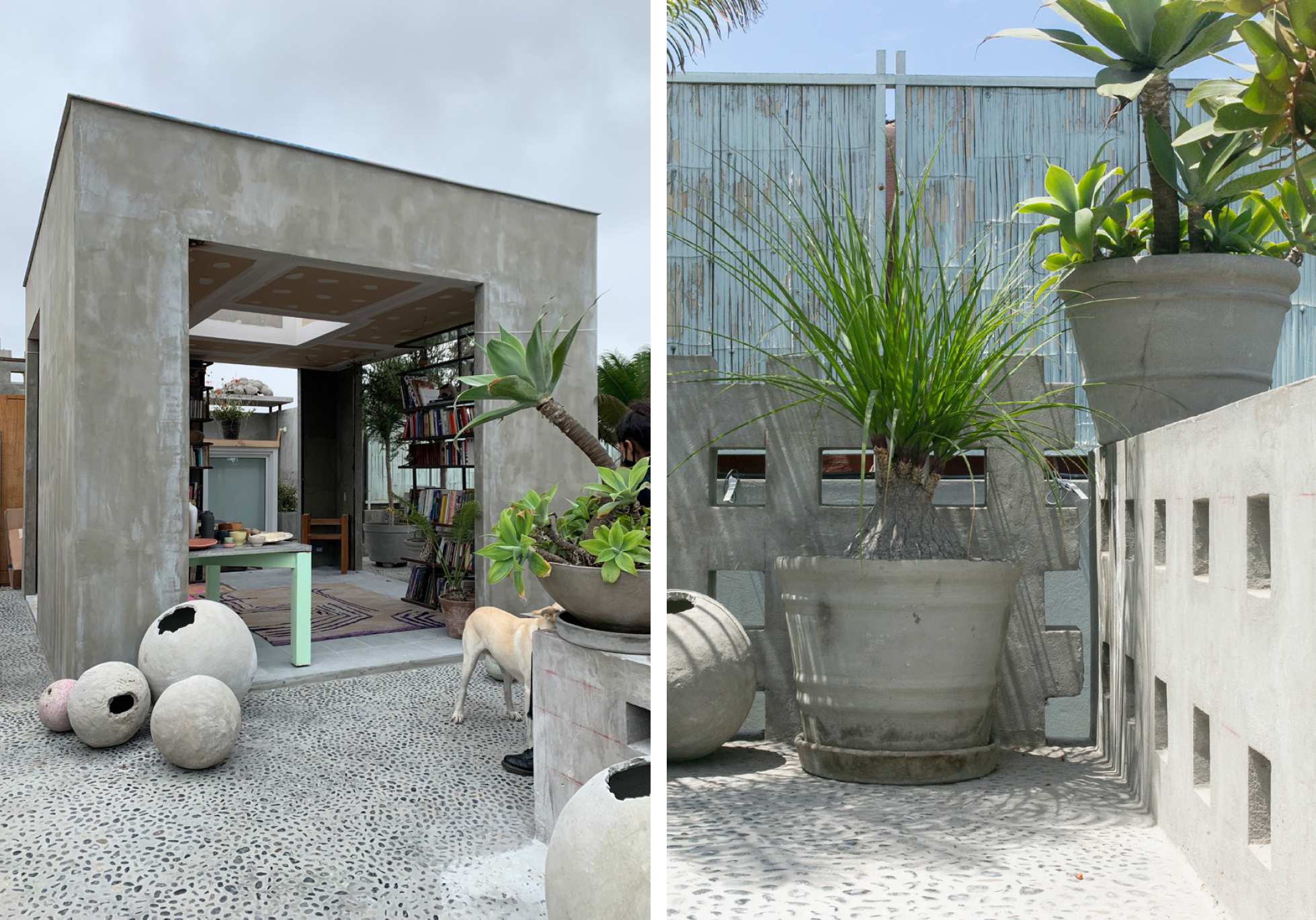 Two outdoor scenes featuring concrete structures and potted plants. The left image shows a modern concrete building with an open entrance, decorated with large spherical objects and a dog nearby. The right image displays large potted plants with gree