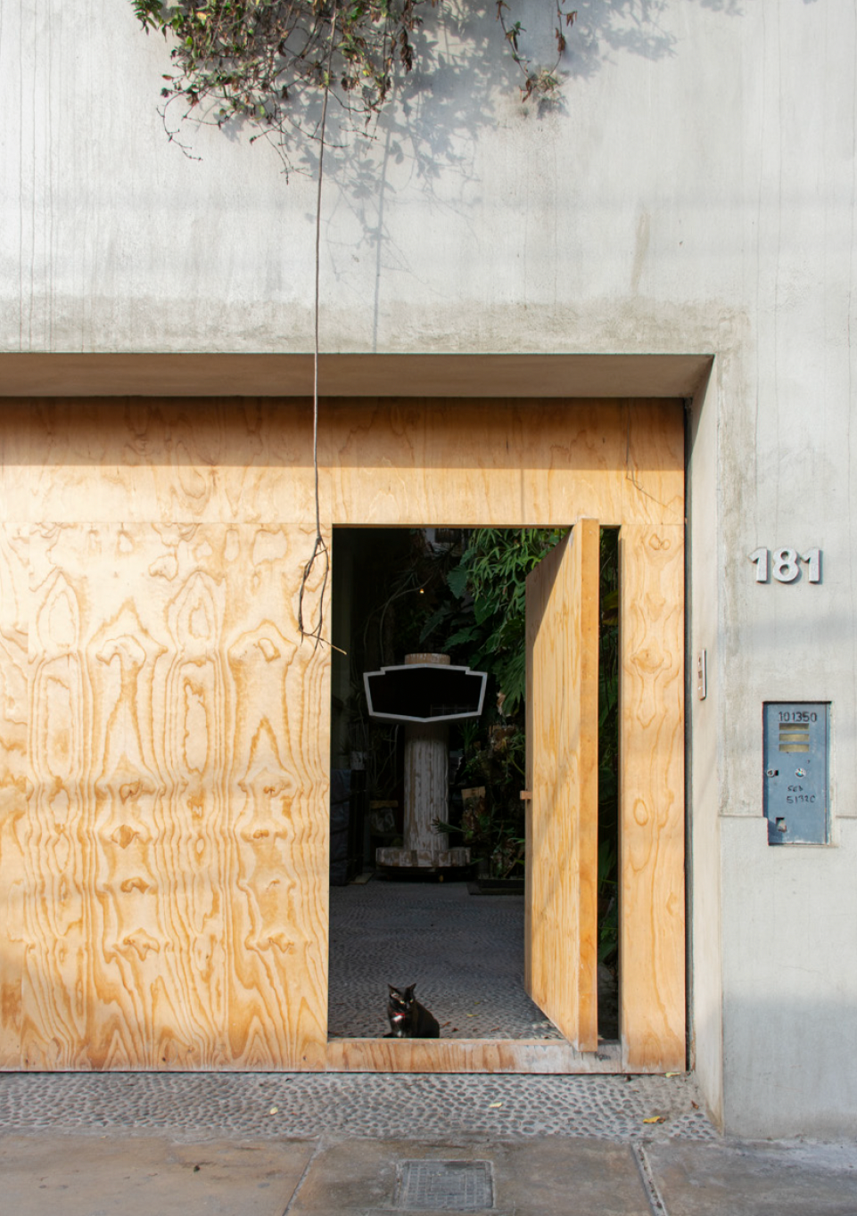 Open wooden door in a concrete building, with a black cat sitting outside.