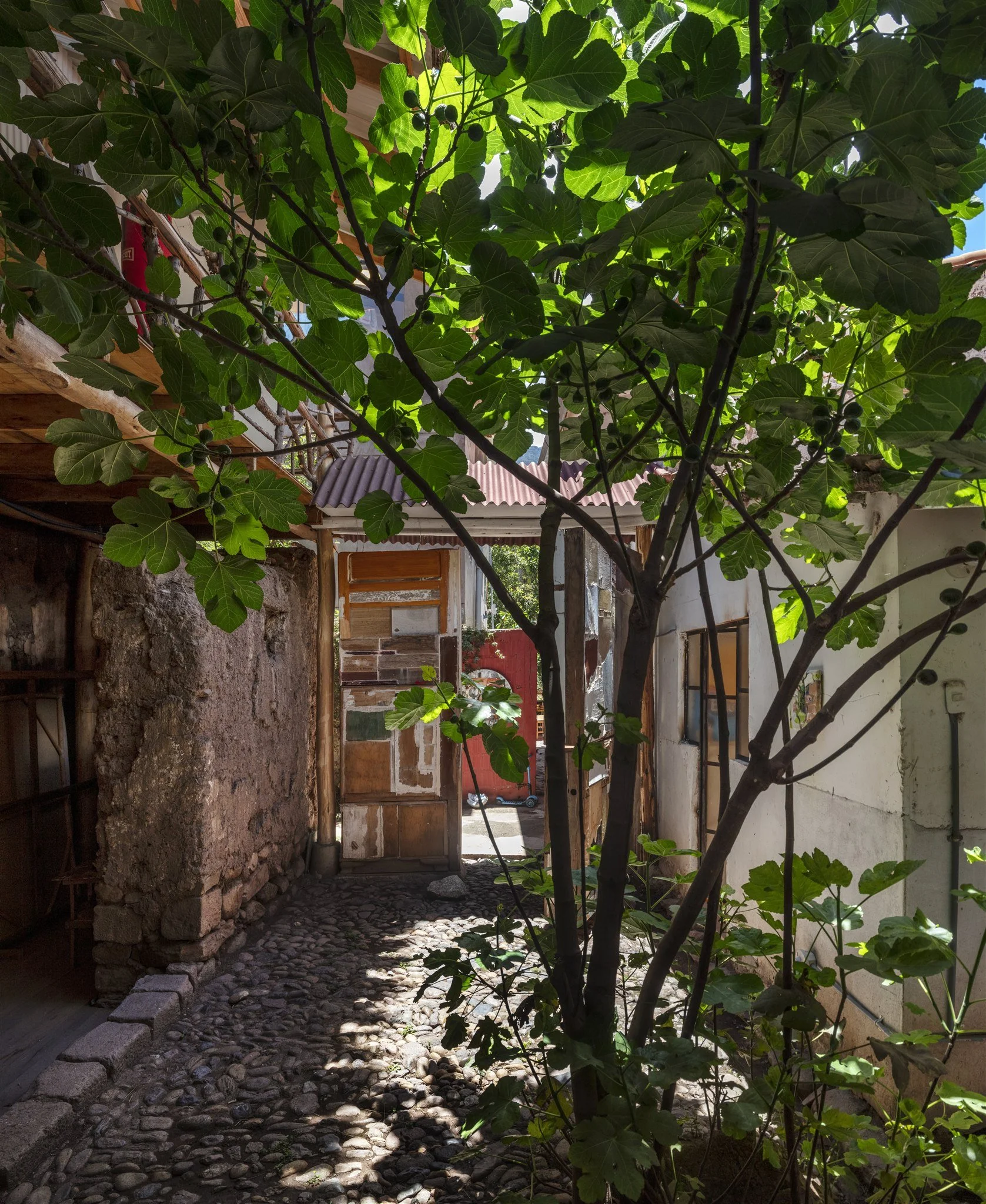 A narrow stone pathway leads through an outdoor area with lush green trees and old rustic buildings, sunlight filtering through the leaves.