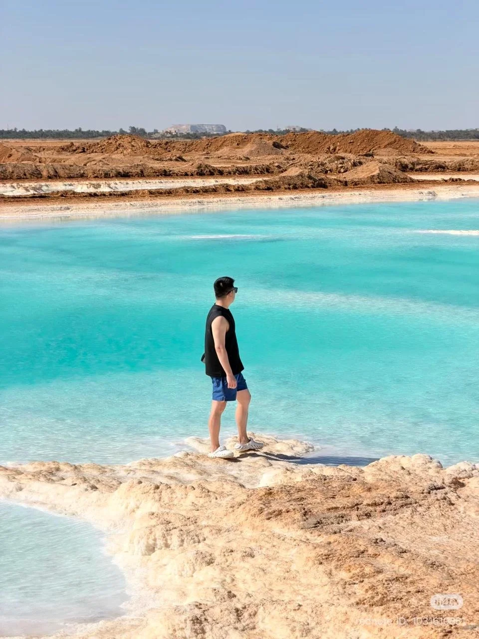 WhatsApp Image 2026-02-12 at 12.45.42 AM (6).jpeg