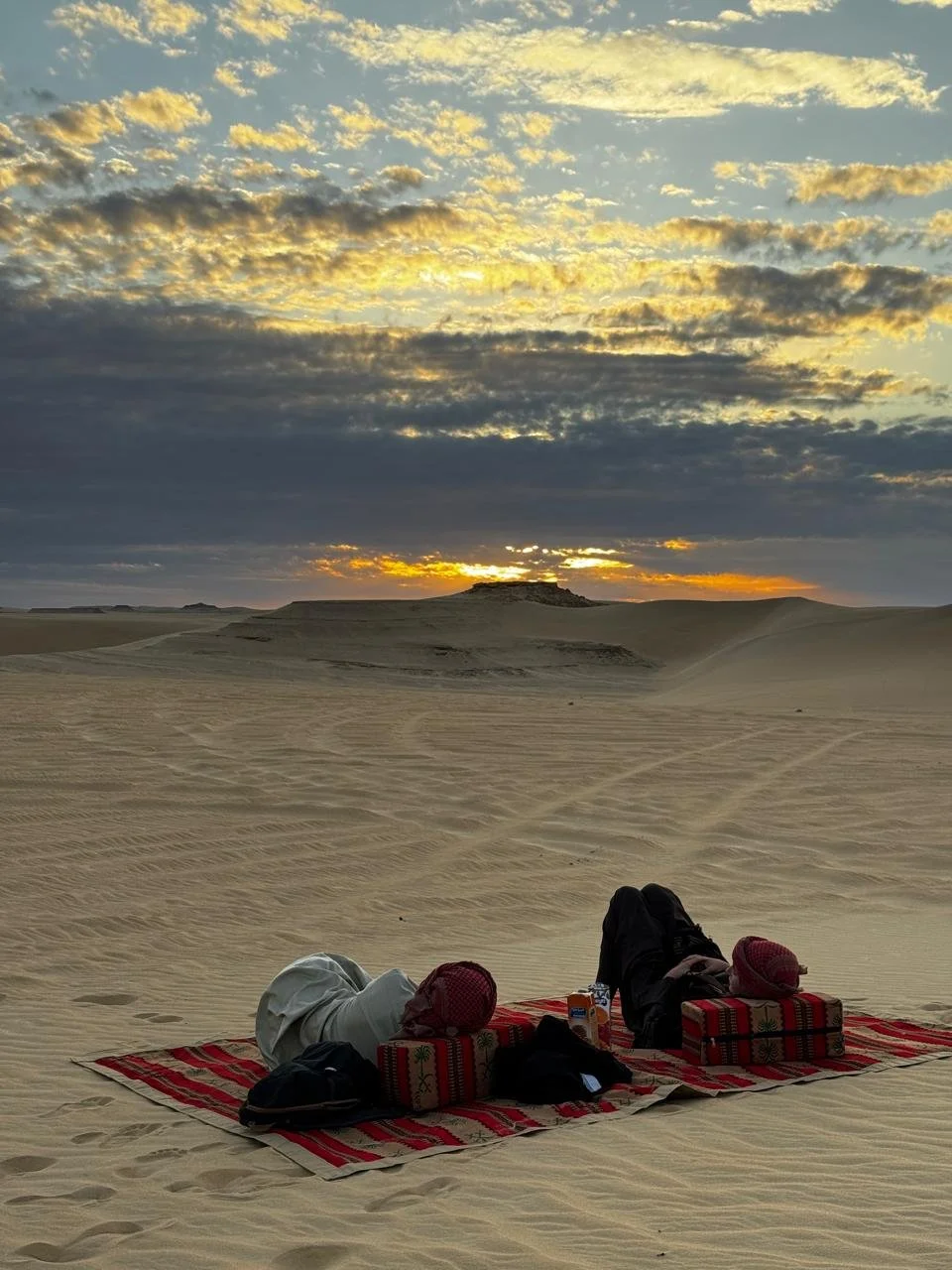 WhatsApp Image 2026-02-12 at 12.45.42 AM (4).jpeg