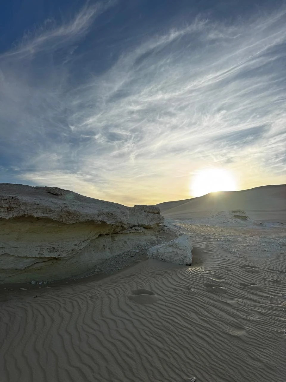 WhatsApp Image 2026-02-12 at 12.45.42 AM (3).jpeg