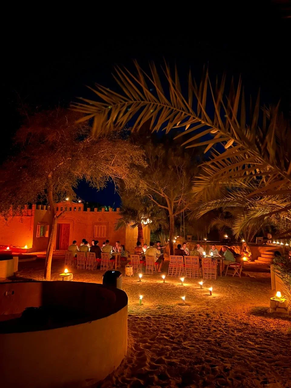 WhatsApp Image 2026-02-12 at 12.45.41 AM (2).jpeg