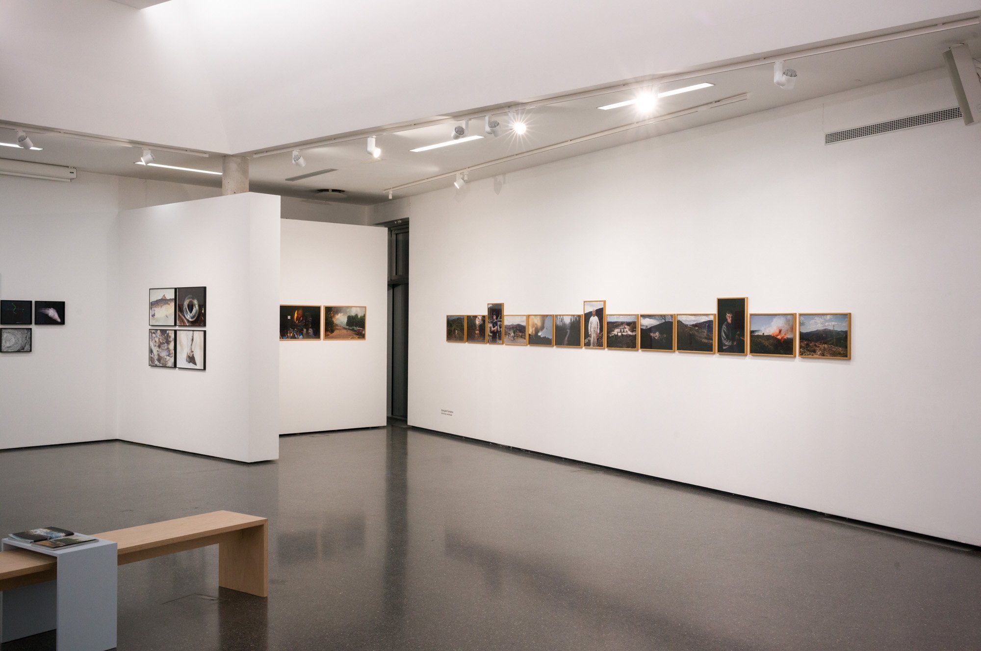 Interior de uma galeria de arte com várias fotos penduradas nas paredes brancas, iluminadas por luzes direcionadas.