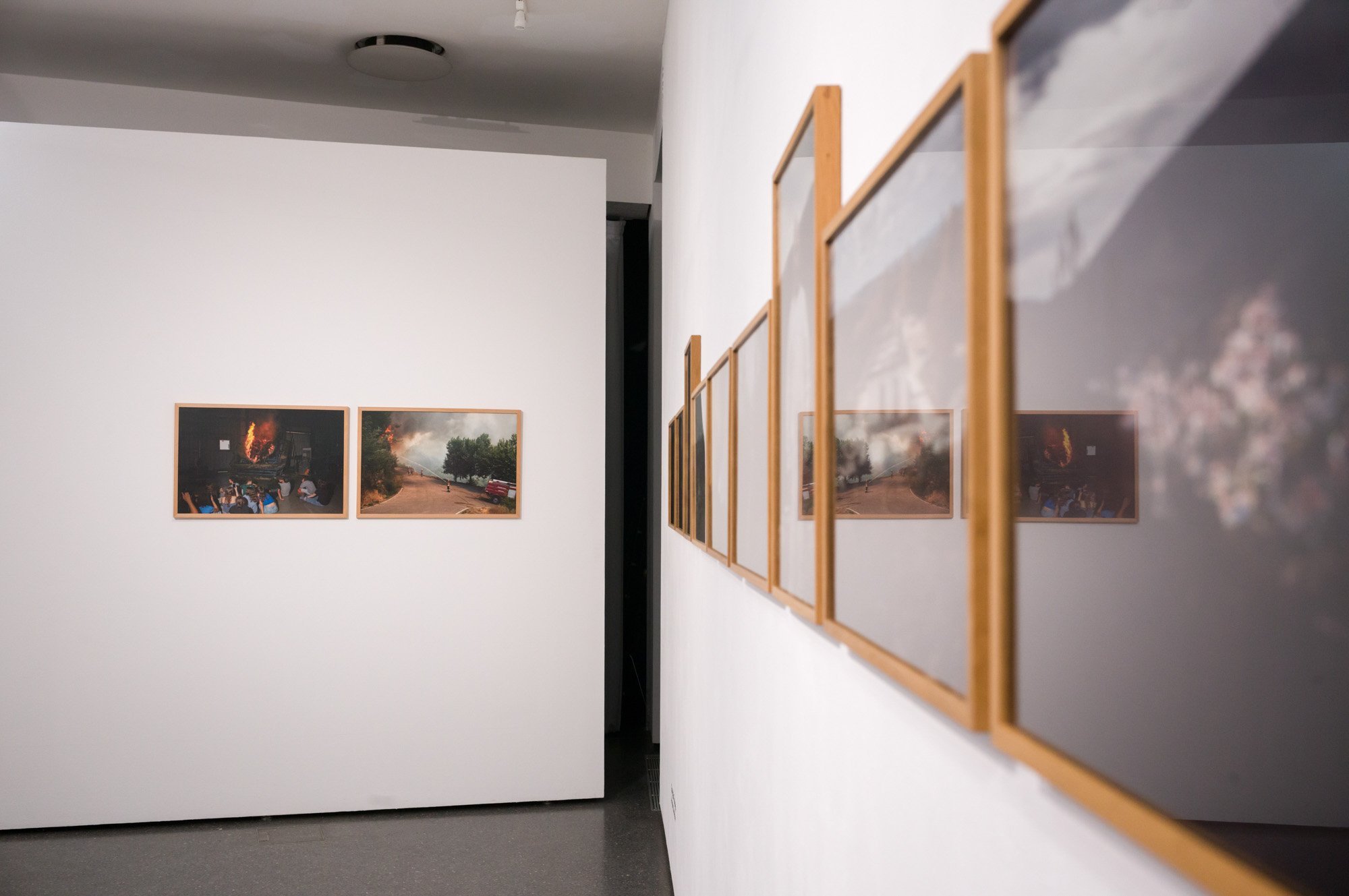 L1005031.jpg