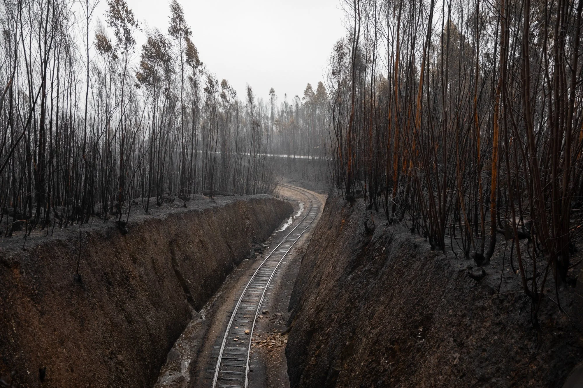 Wildfires_Portugal_Fonseca0001.jpg